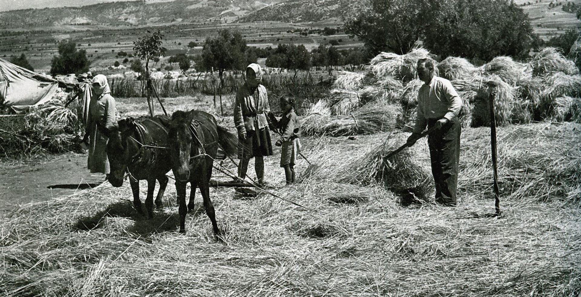 Εικόνα από Ιστορικό