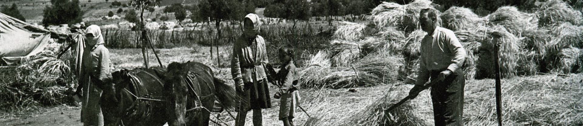 Εικόνα από Ιστορικό