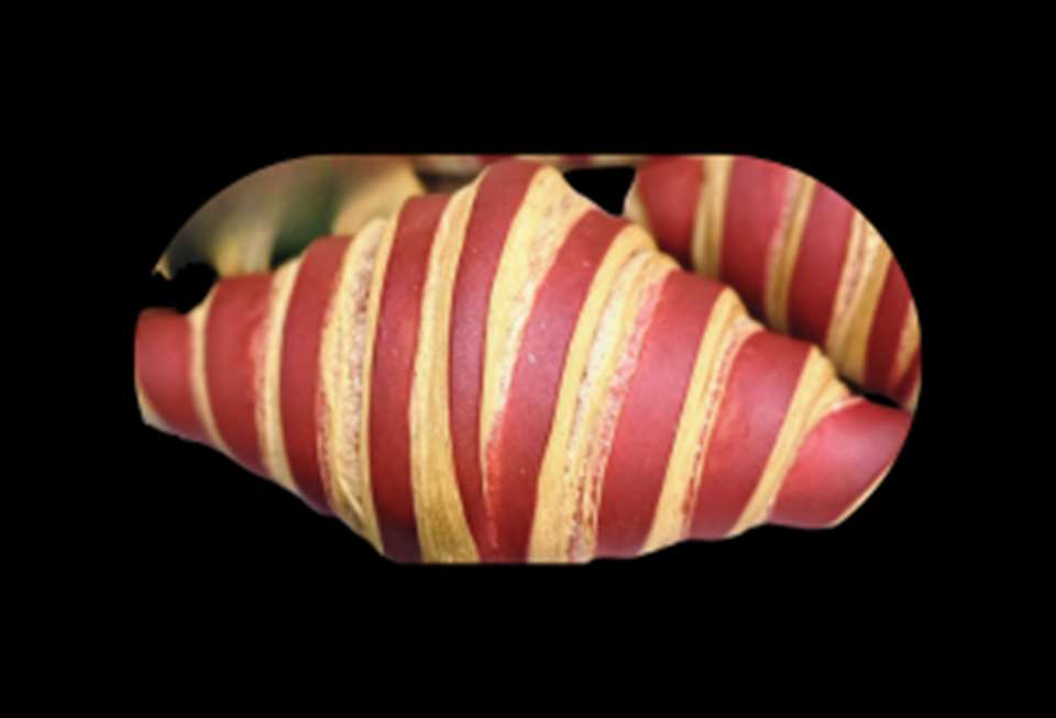 Εικόνα της RED PASSION CROISSANT